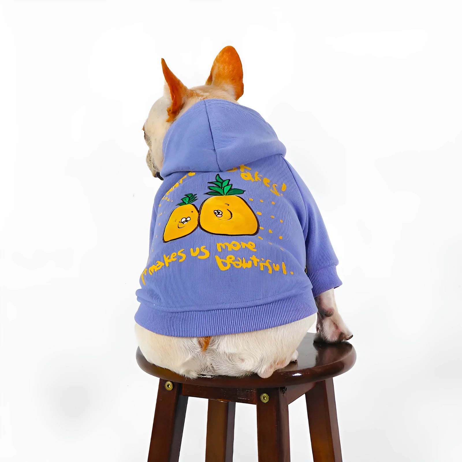 Blue and purple cartoon print cotton plush hoodie for a small dog on a neutral background