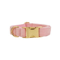 Corduroy dog collar in polyester with nickel-plated hardware showing adjustable buckle and D-ring