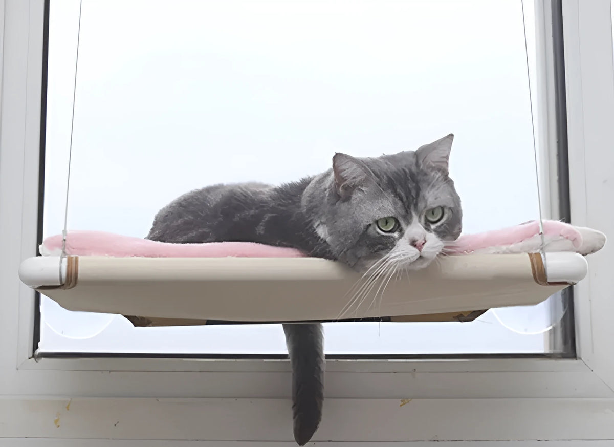 Cat hammock nest 55x35cm with suction cup mounting, mesh cloth surface, off-white or small black mesh