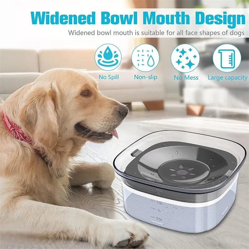 Transparent large dog water bowl with floating disc showing visible water level