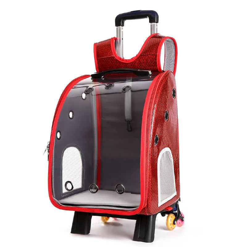 Transparent pet trolley backpack carrier for small dogs and cats with Oxford cloth and acrylic cover.