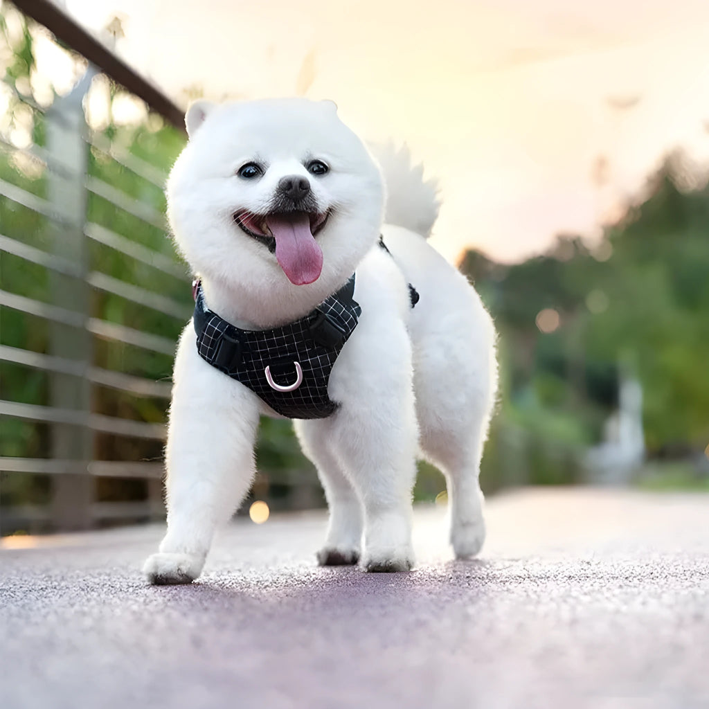 Nylon dog chest harness in light purple, adjustable for secure outdoor walking control.
