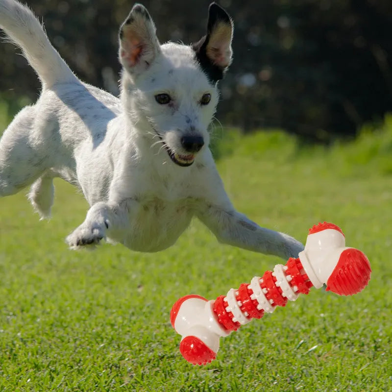 Blue bone-shaped interactive dog toy for small breeds with chewable ends and treat compartment
