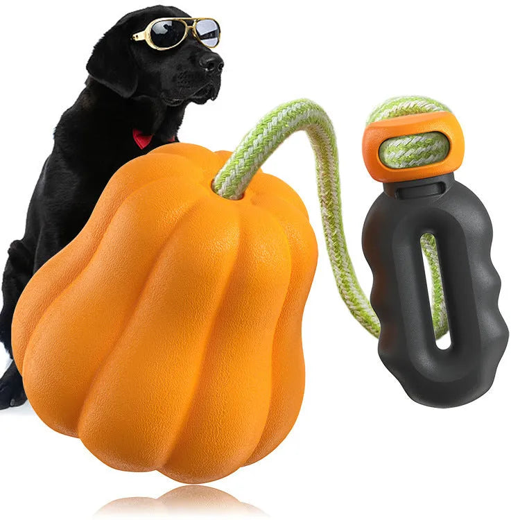 Orange plastic Bite Molar dog toy with an attached brown rope handle on a grassy background.