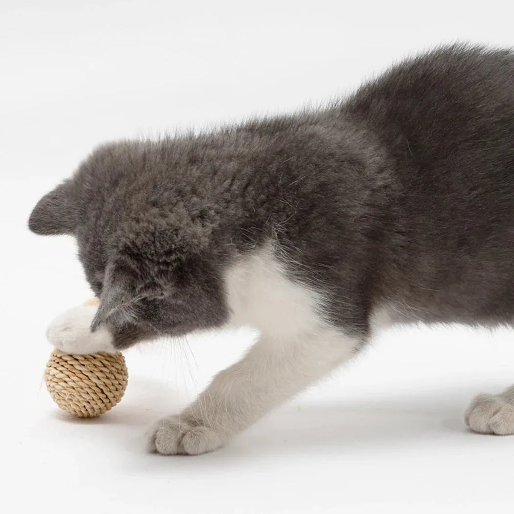 Two cat toys: hollow rattan ball and faux feather ball with bell for interactive pet play