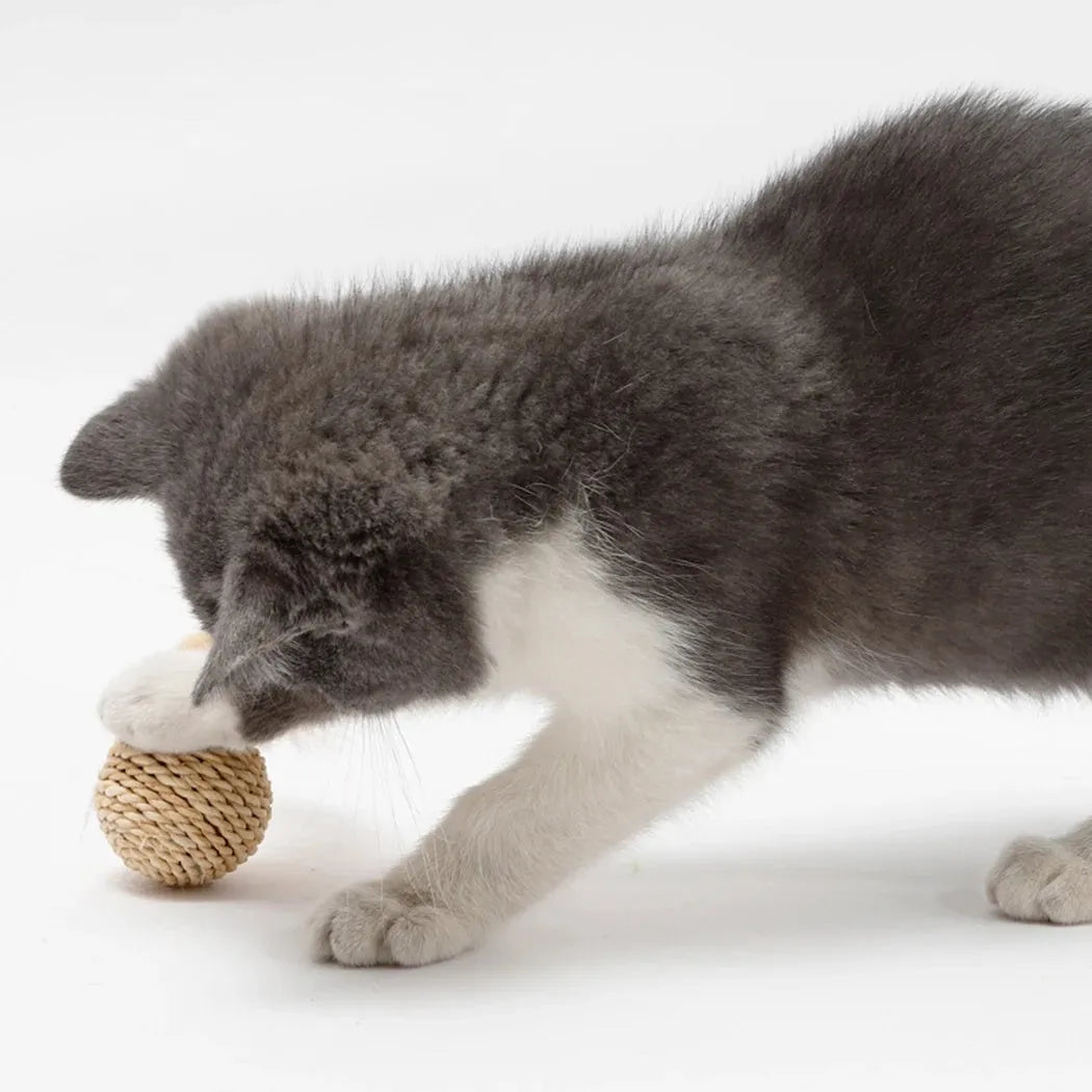 Two cat toys: hollow rattan ball and faux feather ball with bell for interactive pet play
