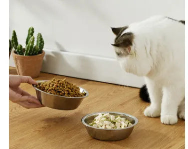 Stainless steel pet bowl with non-slip base in sizes from 13cm to 22cm