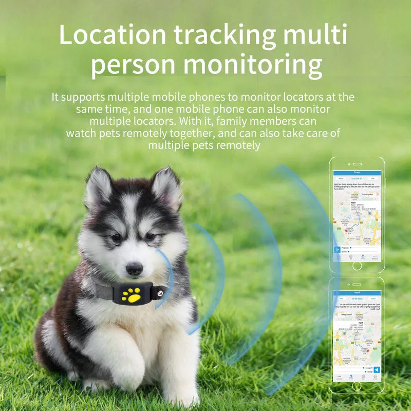 Waterproof GPS pet tracker in black, sky blue, pink, or green grass colours, showing compact 65.5mm size.