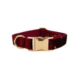 Fabric dog collar set with adjustable lead, bow, flower, vest, and poop bag on pet