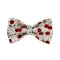 Red cherry print dog collar and leash set with light gold metal buckle and attached cloth bow