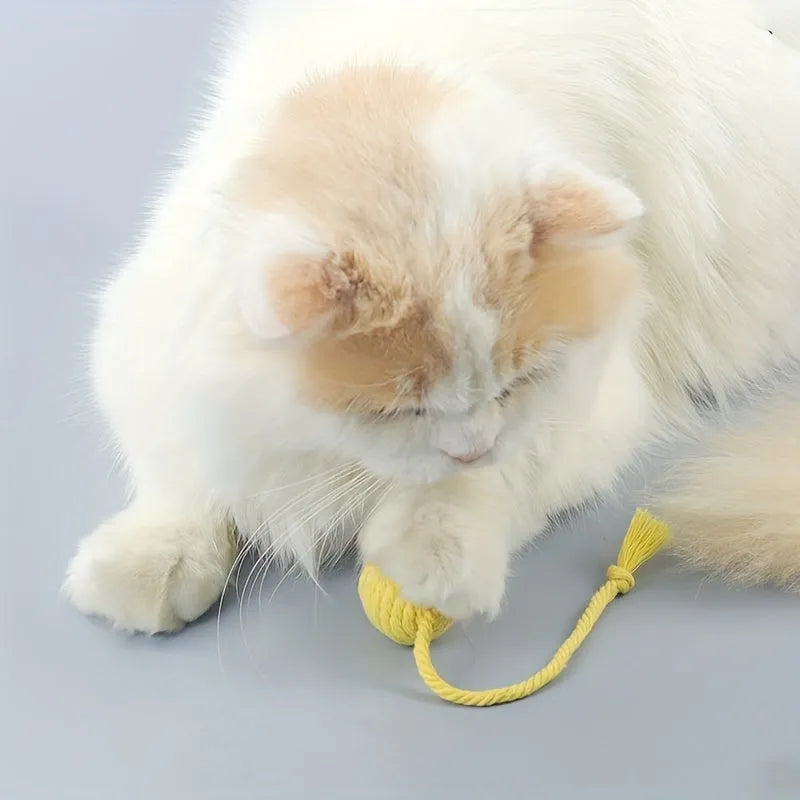 Cat toy ball with rope handle in green, pink, purple or yellow colours with internal bell