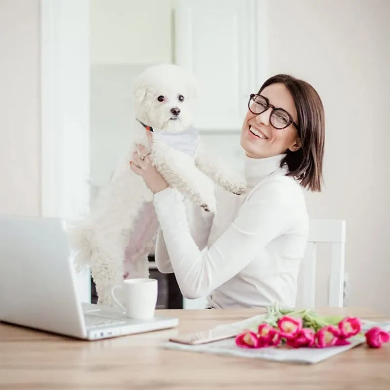 White blank polyester dog scarf showing four size options for thermal transfer personalisation