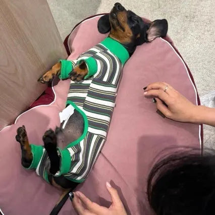 Striped dog vest in striped clothes colour for autumn and winter, available in sizes S to XXL