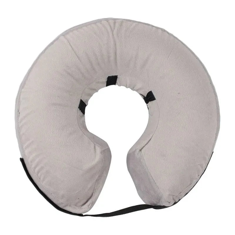 Blue inflatable soft recovery collar for a dog after surgery.