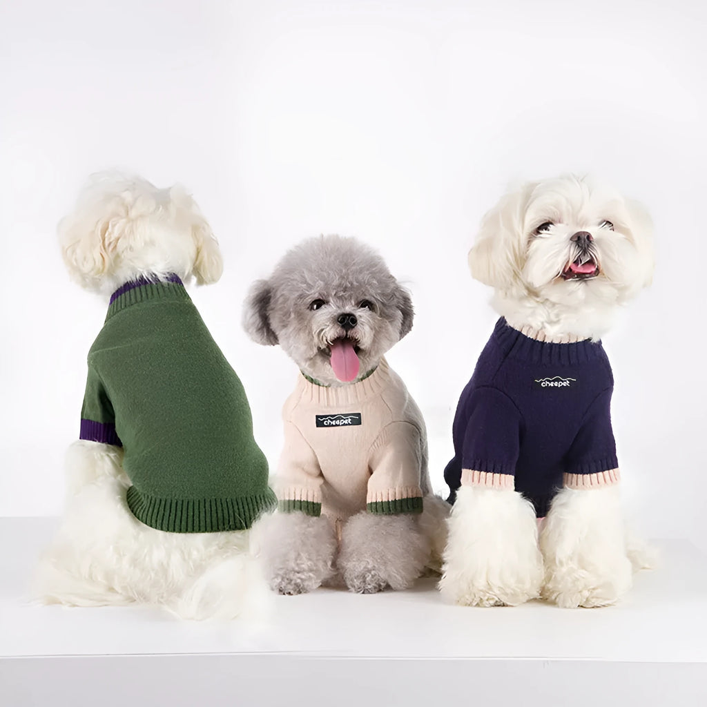 Dog wearing contrast colour two-leg wool sweater in British style