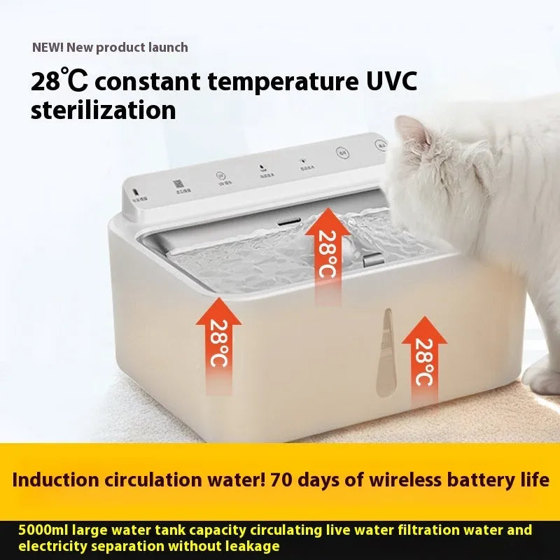 Cat water fountain with constant temperature heating and stainless steel water tray, 5L capacity