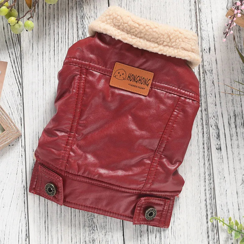 Red two-legged PU leather dog coat with fleece lining shown on a small dog, sized for winter.