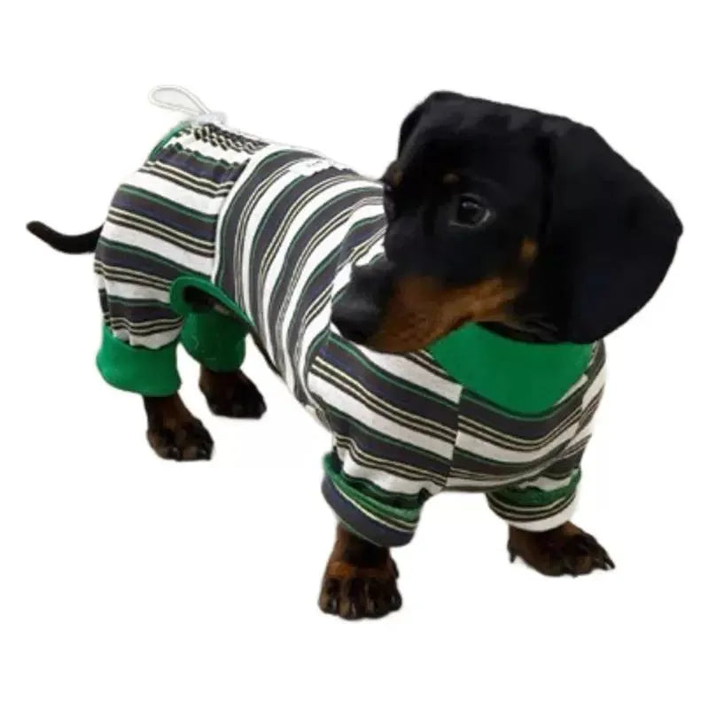 Striped dog vest in striped clothes colour for autumn and winter, available in sizes S to XXL