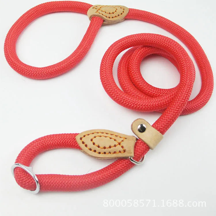 Brown nylon dog leash with P-chain attachment measuring 2.1 metres long