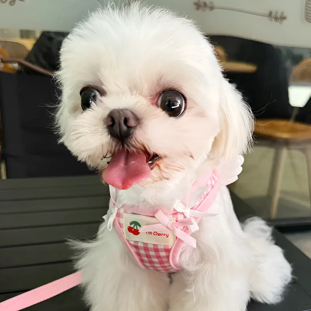 Pink and black cotton chest and back harness with hand holding rope for small dogs.