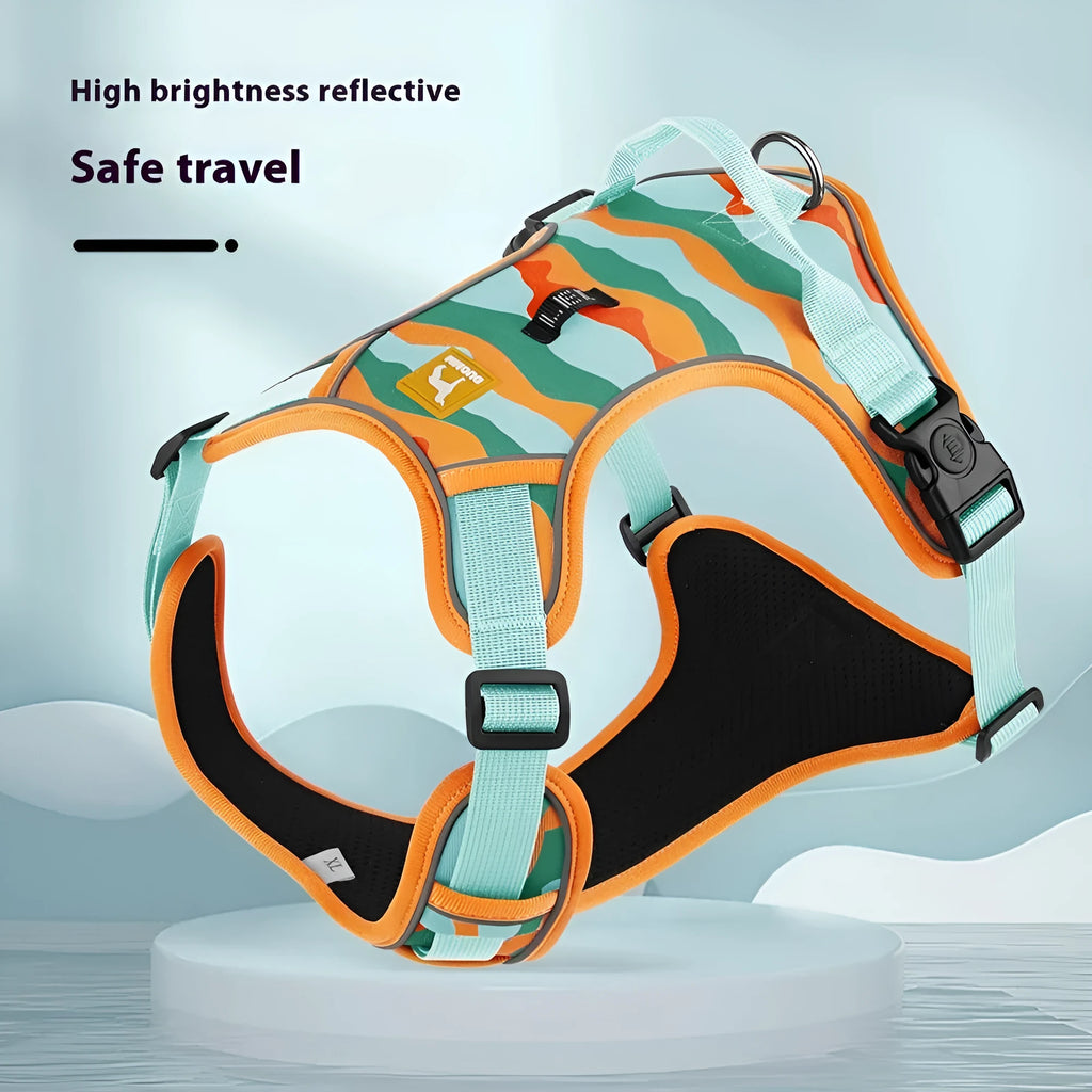 Reflective orange dog harness and leash for chest and back control on a dog.