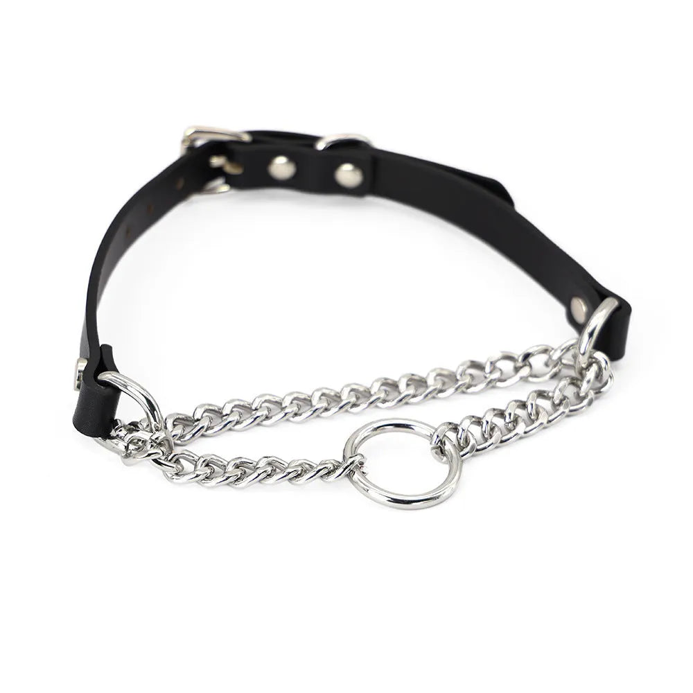 Black leather dog collar and matching leash with a rope hand grip.