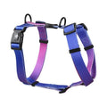 Gradient colour polyester dog harness chest strap in small, medium, large sizes