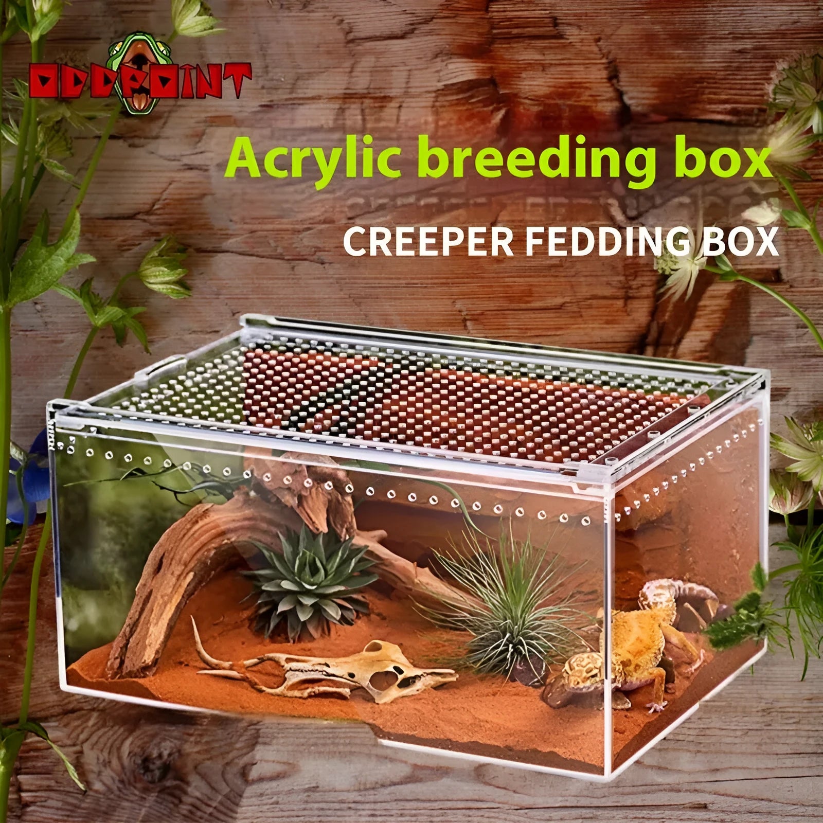 Transparent acrylic reptile feeding box showing five different size options on a white background.