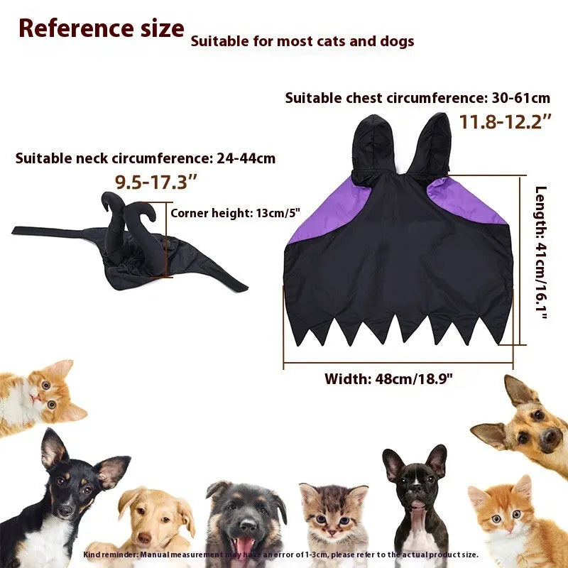 Black polyester Halloween dog cloak and hat set on a small dog, showing the cape and matching headpiece