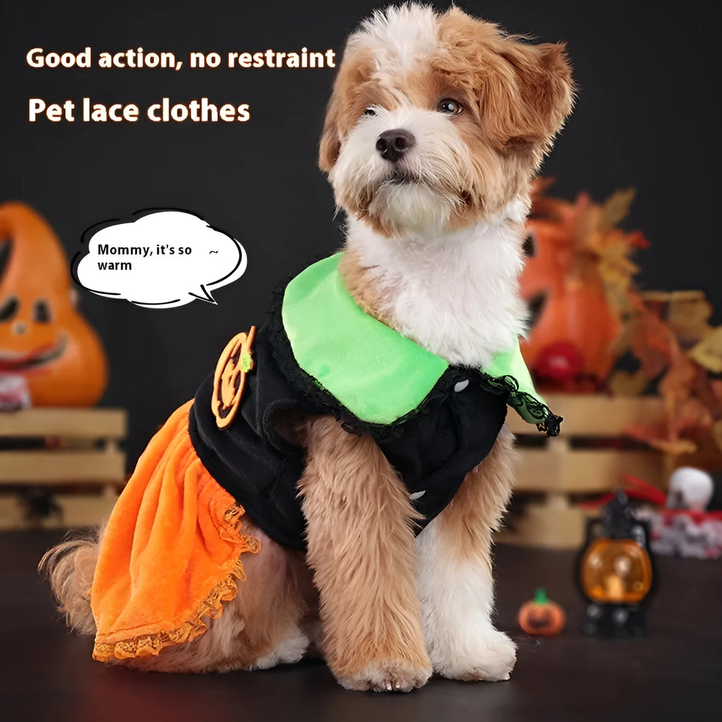Halloween pumpkin costume skirt for small dogs and cats in crystal velvet fabric