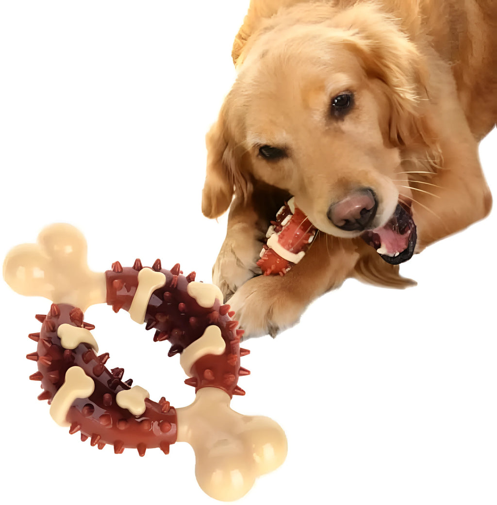 Bone-shaped natural rubber dog chew toy for grinding teeth, shown in large and small sizes.