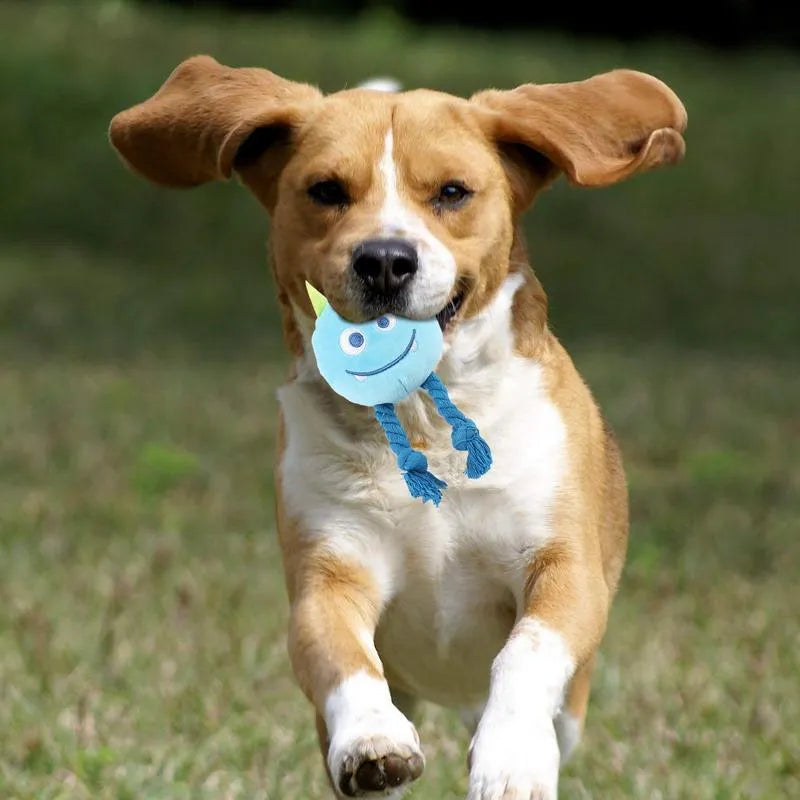 Blue and yellow dog squeaky toys with strong knot design for chewable teething and interactive play