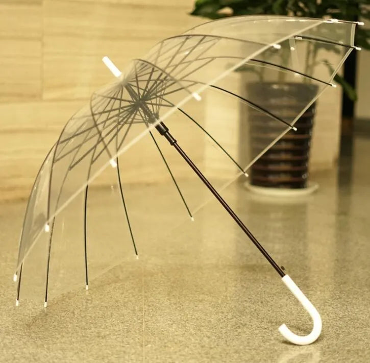 Transparent umbrella with long handle showing 16-rib frame structure