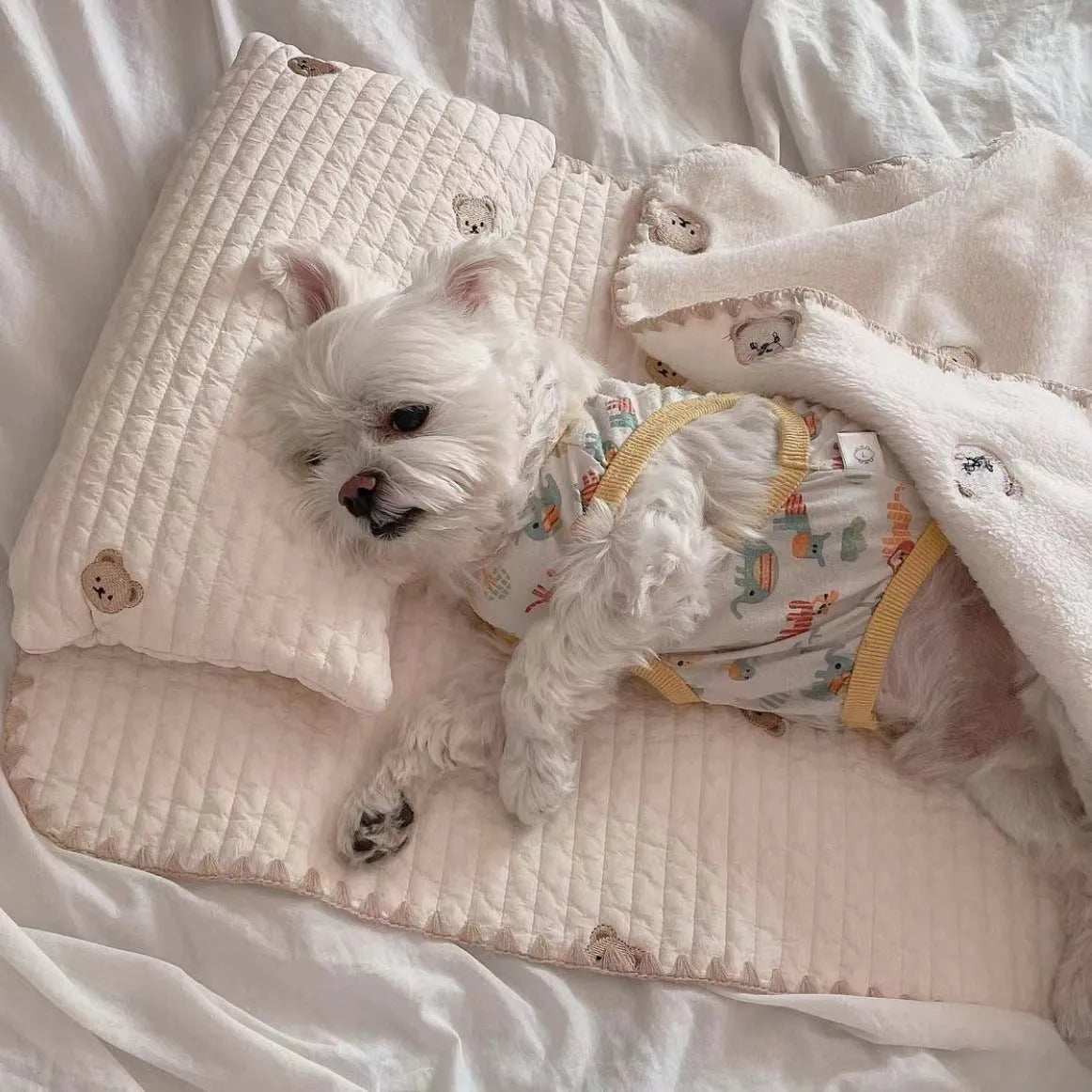 Fashion square mat removable washable dog bed set with bear pattern in polyester fabric