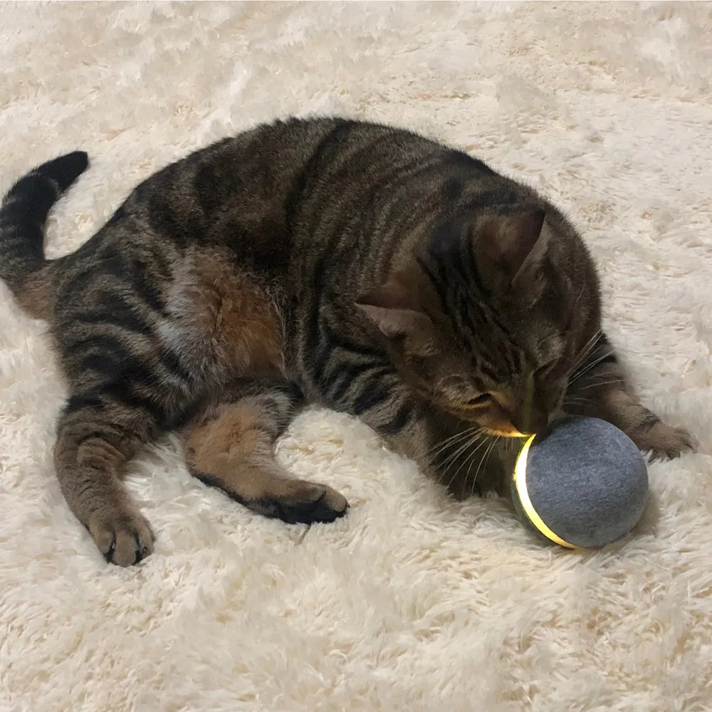Interactive cat toy bouncing ball with LED lights, silicone exterior, USB rechargeable, blue colour