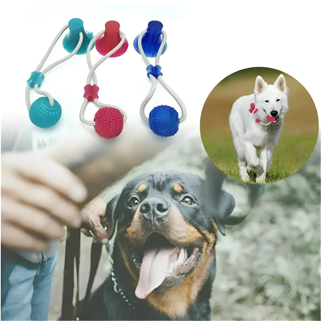 Dog biting sucker multifunction pet molar bite toy with rubber, TPR, and cotton fibre rope in red, blue, or green