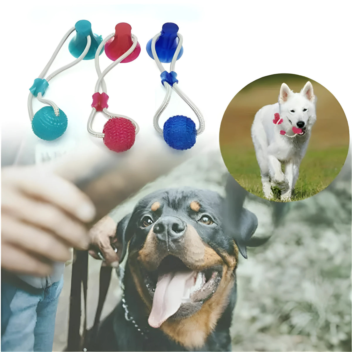 Dog biting sucker multifunction pet molar bite toy with rubber, TPR, and cotton fibre rope in red, blue, or green