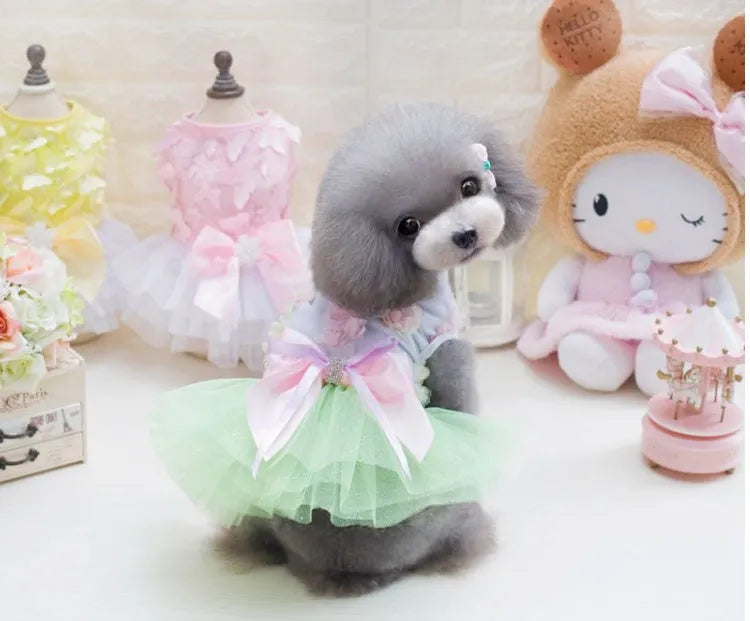 Dog skirt princess tutu spring-summer mesh thin dress in pink with cotton and lace, size M