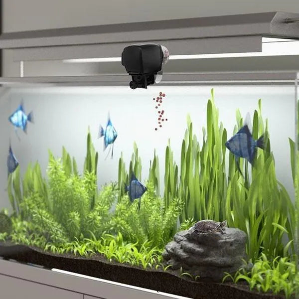 Black plastic digital automatic aquarium fish feeder, 110 x 100 x 68mm, with timer and battery compartment
