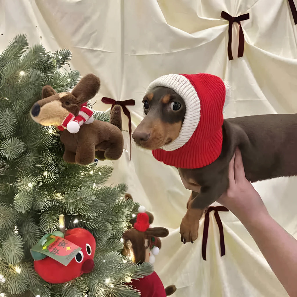 Red plush Christmas Dachshund hat pet disguise cap with scarf Little Red Riding Hood style for dogs