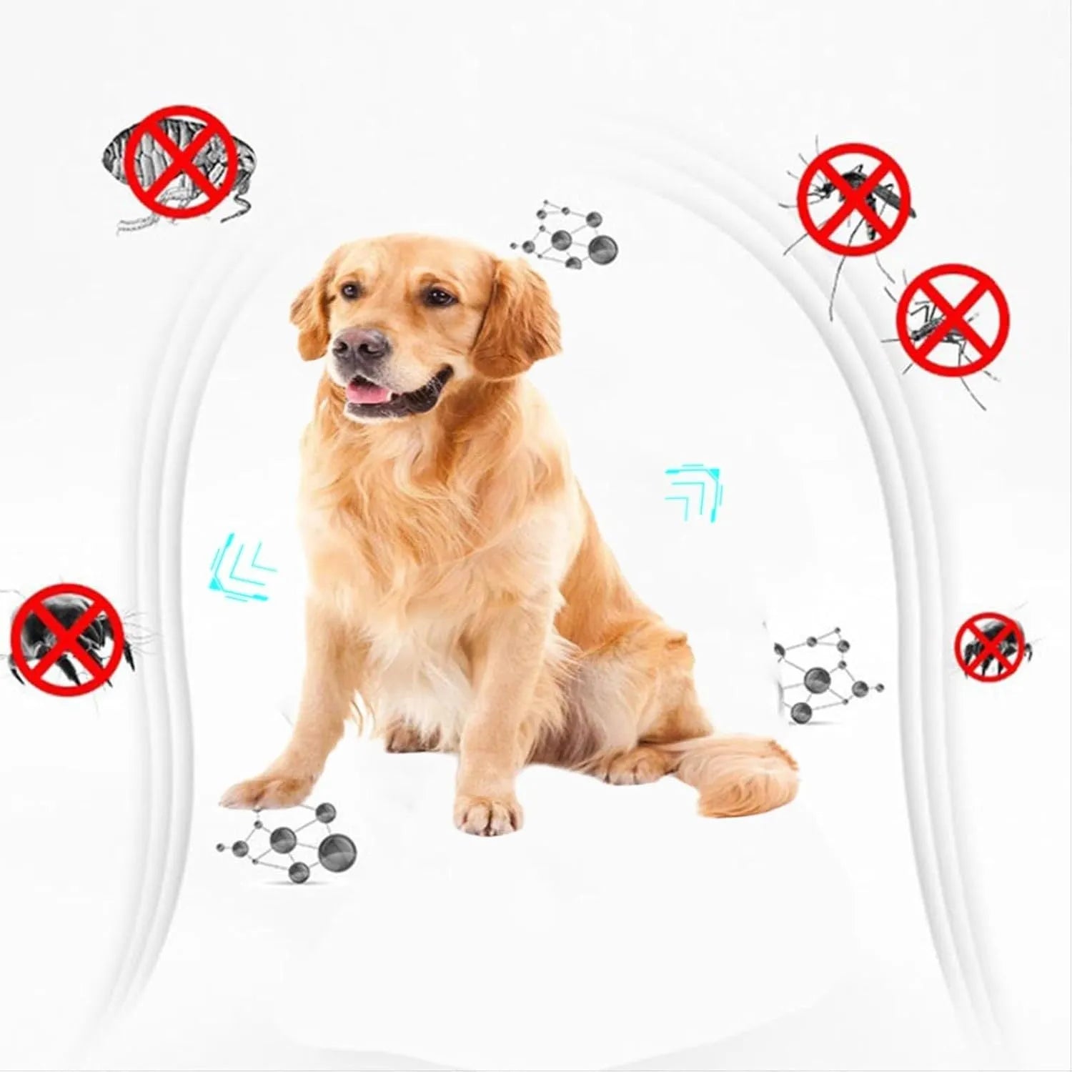Double-sided plastic flea comb for pets showing fine teeth and grate mouth designs on a white background.