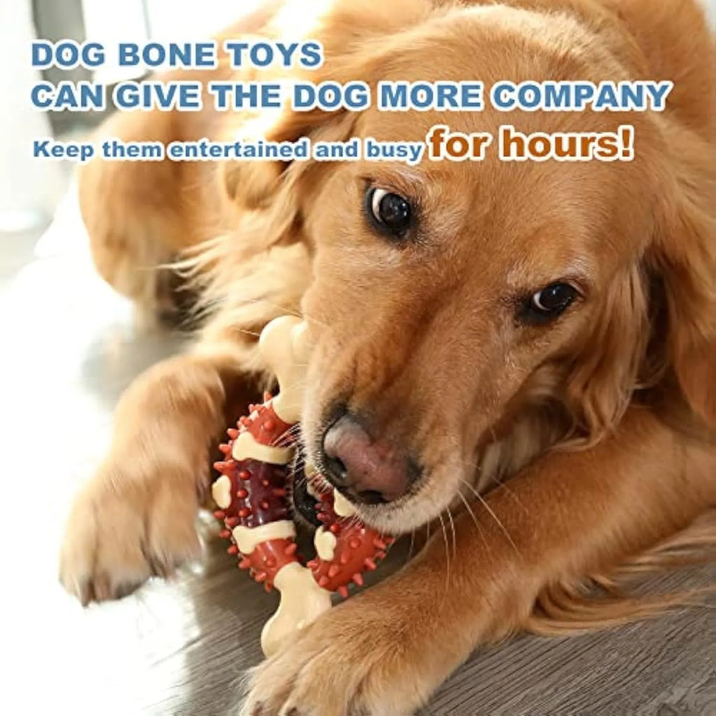 Bone-shaped natural rubber dog chew toy for grinding teeth, shown in large and small sizes.