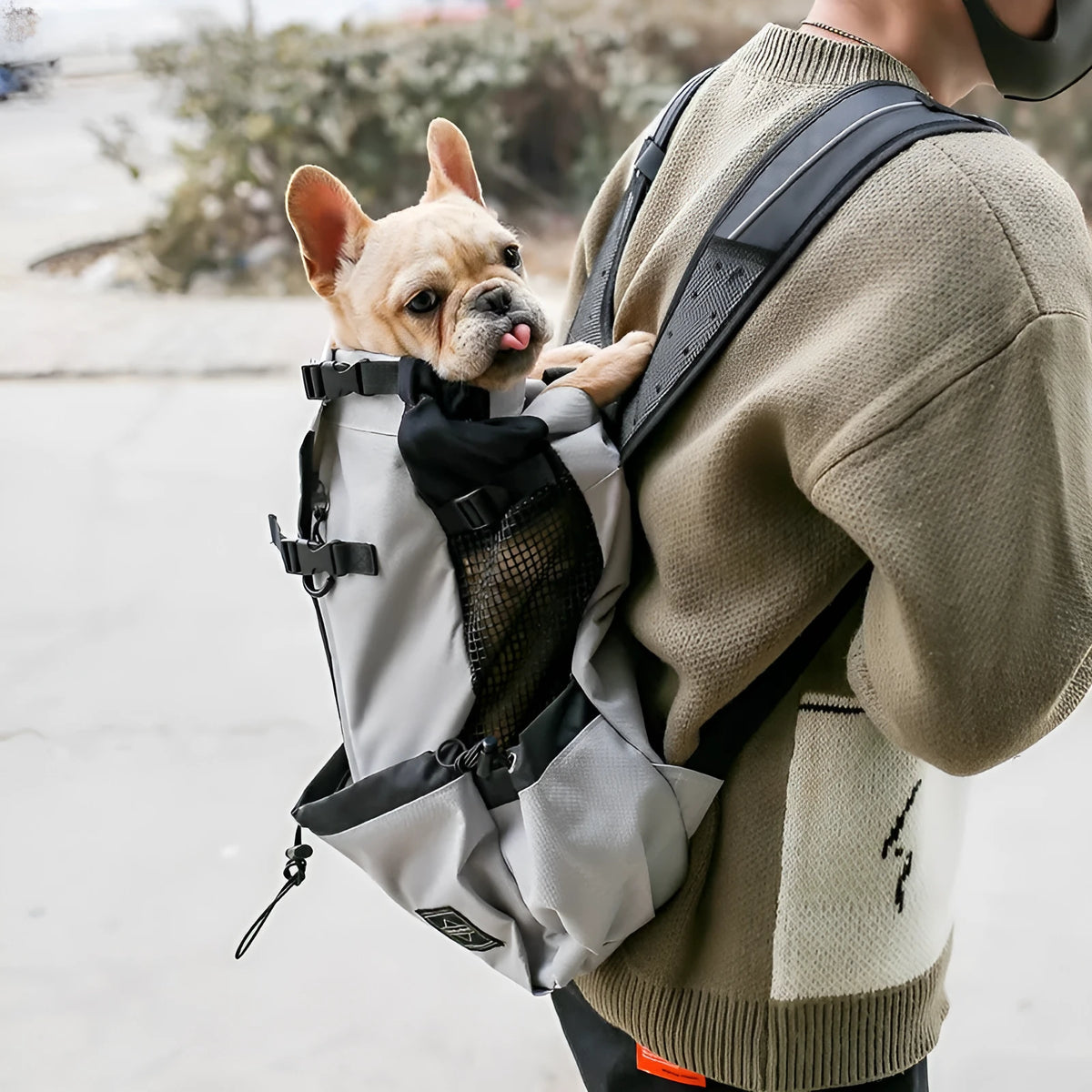 Pet dog carrier backpack in polyester with double shoulder straps, available in multiple sizes and colours