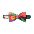 Cat wearing a cotton bow tie collar in Beast Color Block colour, with a casual style