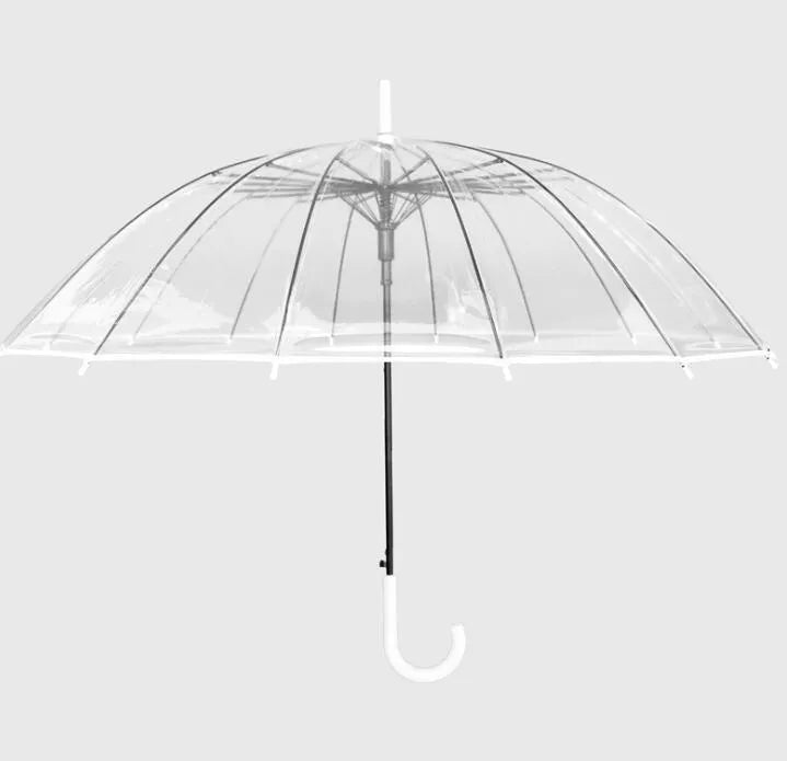 Transparent umbrella with long handle showing 16-rib frame structure