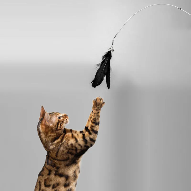 Telescopic fishing rod cat toy with goose feather teasers extended to show full length