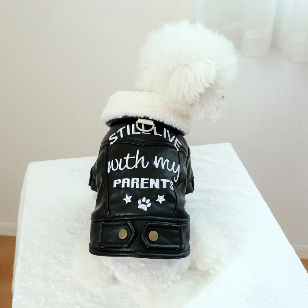 Fleece-lined padded dog coat in three colours with size chart showing measurements