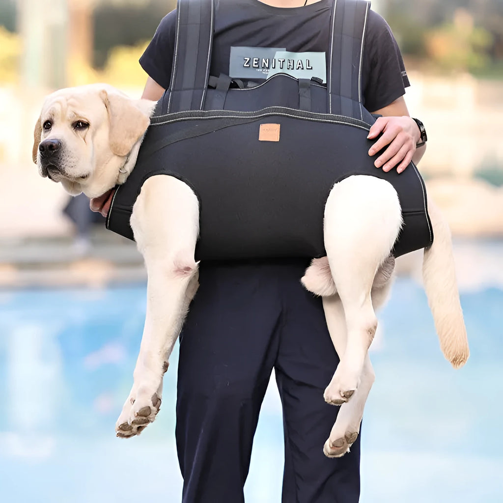 Black Oxford cloth dog backpack for medium and large pets in XL size