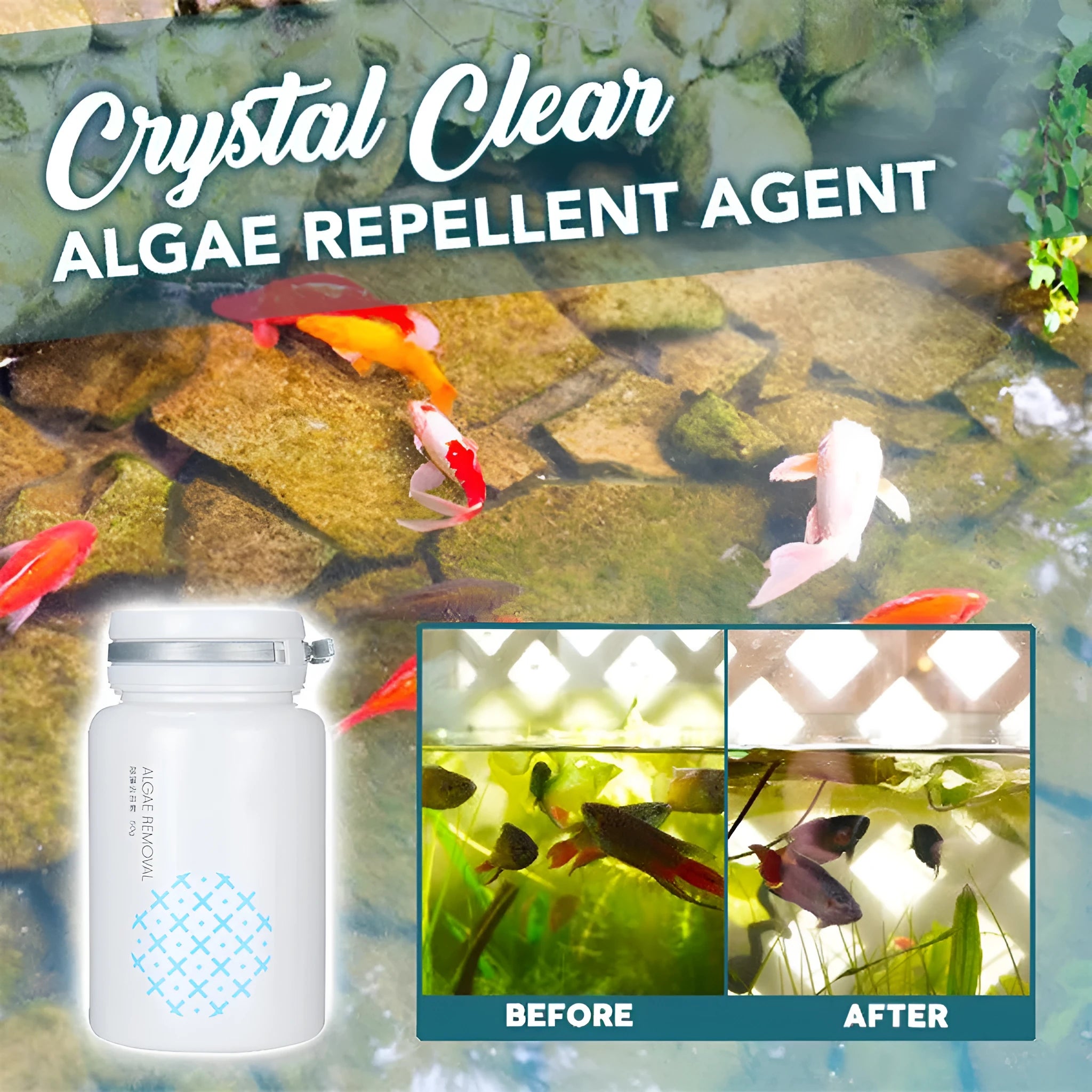 50g swimming pool algaecide treatment for algae removal and water purification