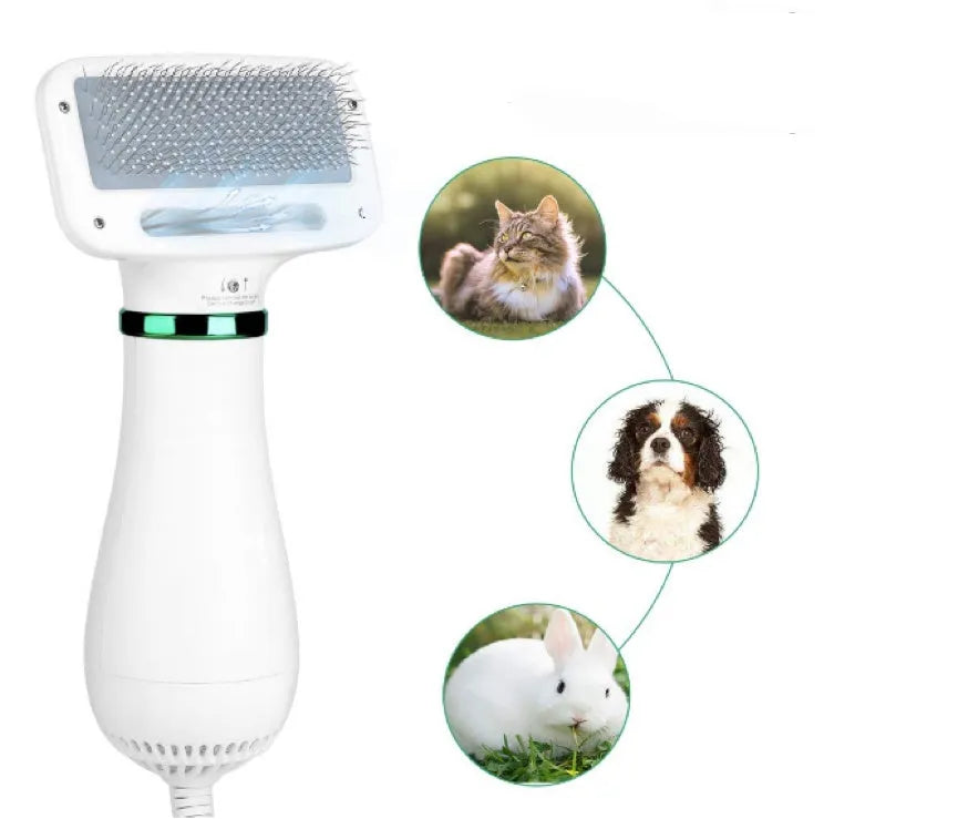 Pet Hair Comb All-in-one Hair Dryer PD-9800 in green, with two heat settings and ABS construction
